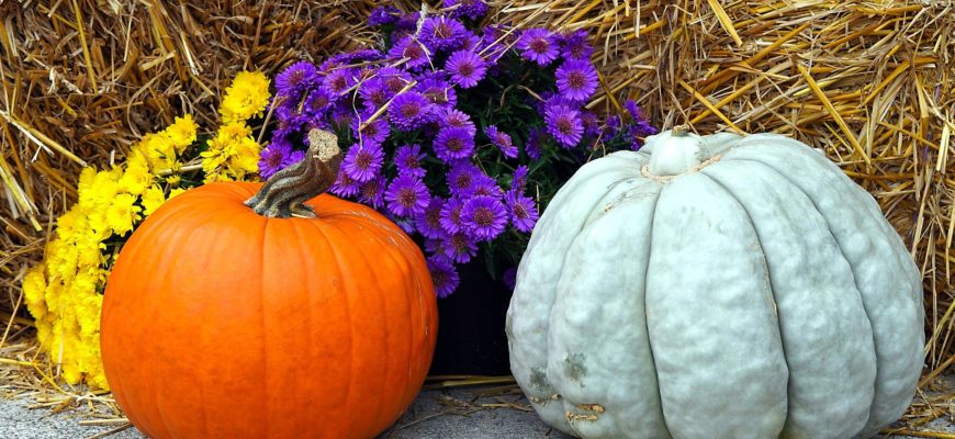 Pumpkins and fall flowers